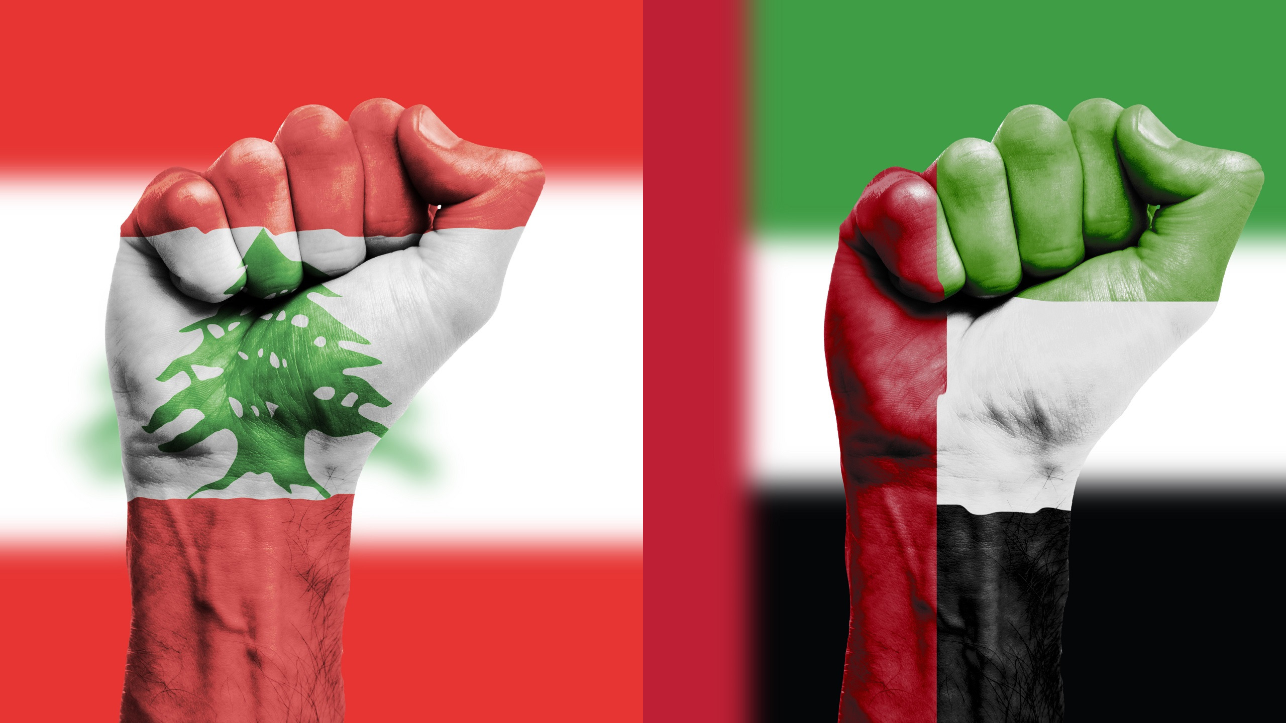Lebanese, Emirati FMs Discuss Lebanese Citizen’s Death in UAE Custody