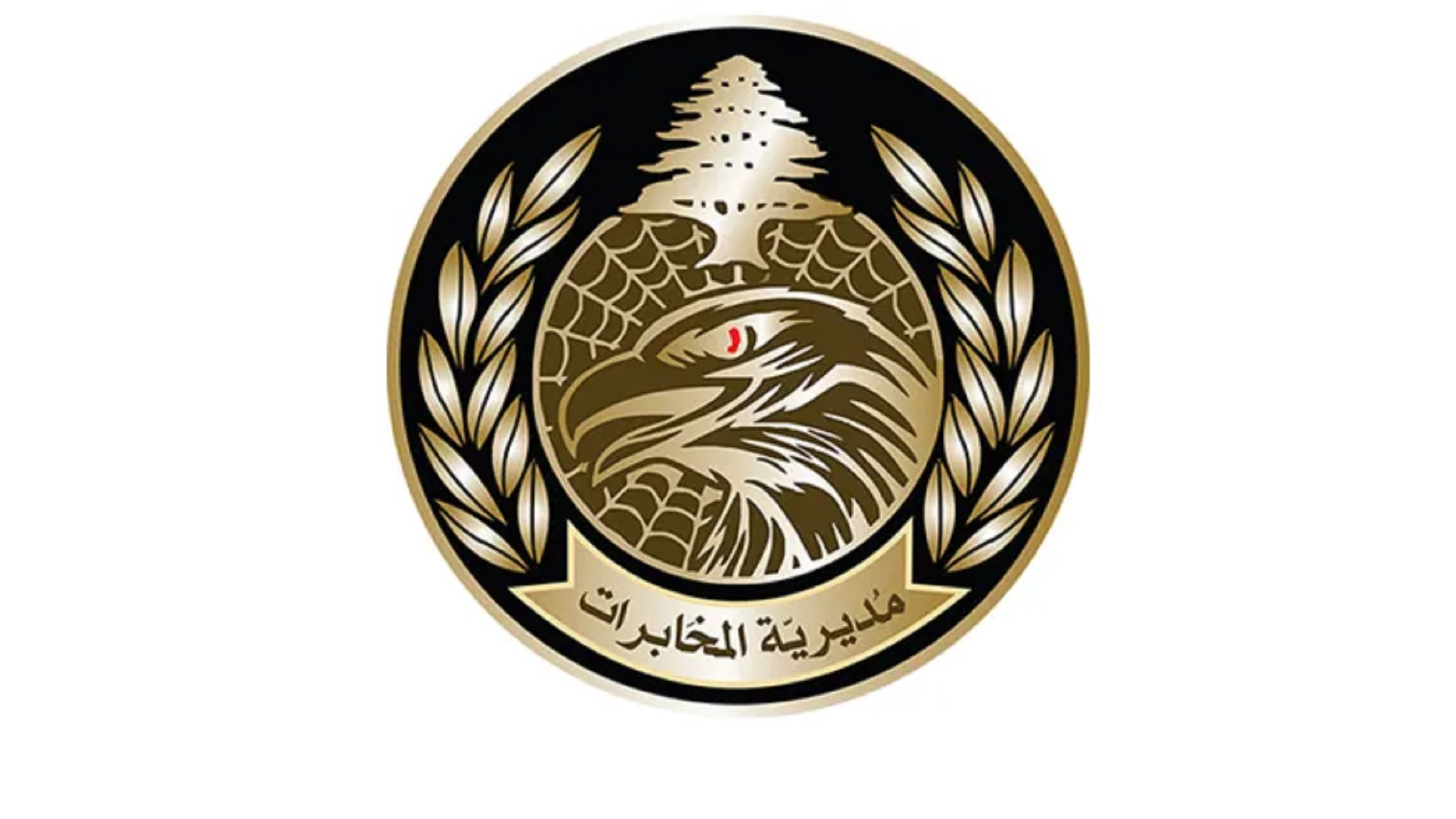 Lebanese Forces Capture High-Ranking al-Qaida Member