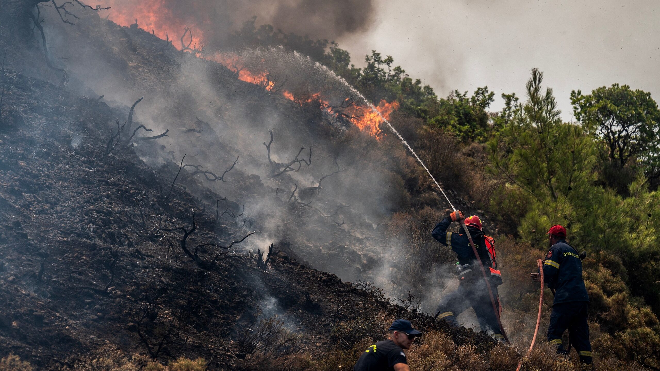 Mediterranean Nations, US, Meet in Israel To Discuss Wildfires, Climate Change