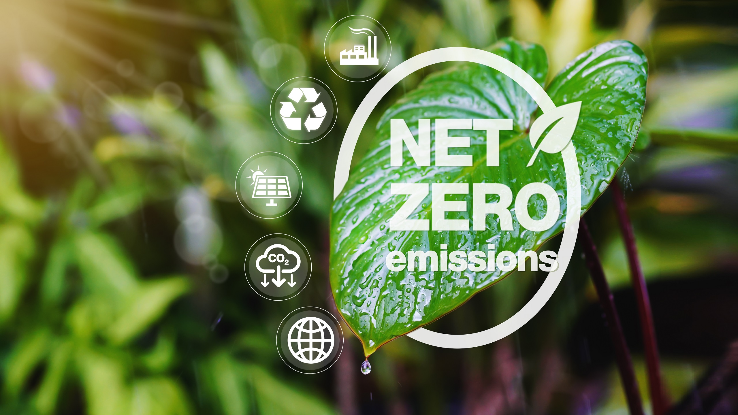 Saudi Arabia, Japan Collaborate on Clean Energy Strategies for Net-Zero Emission Goals