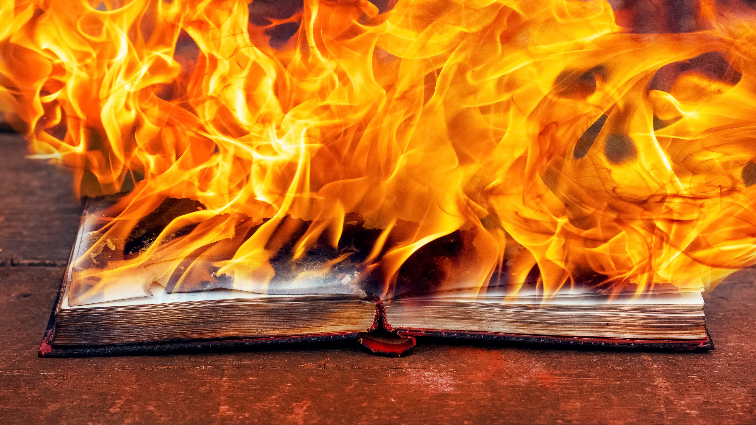 International Outrage Flares Over Quran Desecration in Sweden, Denmark