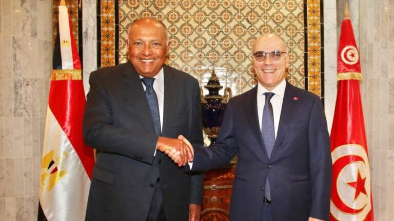 Tunisian and Egyptian Foreign Ministers Seek Stronger Bilateral Ties