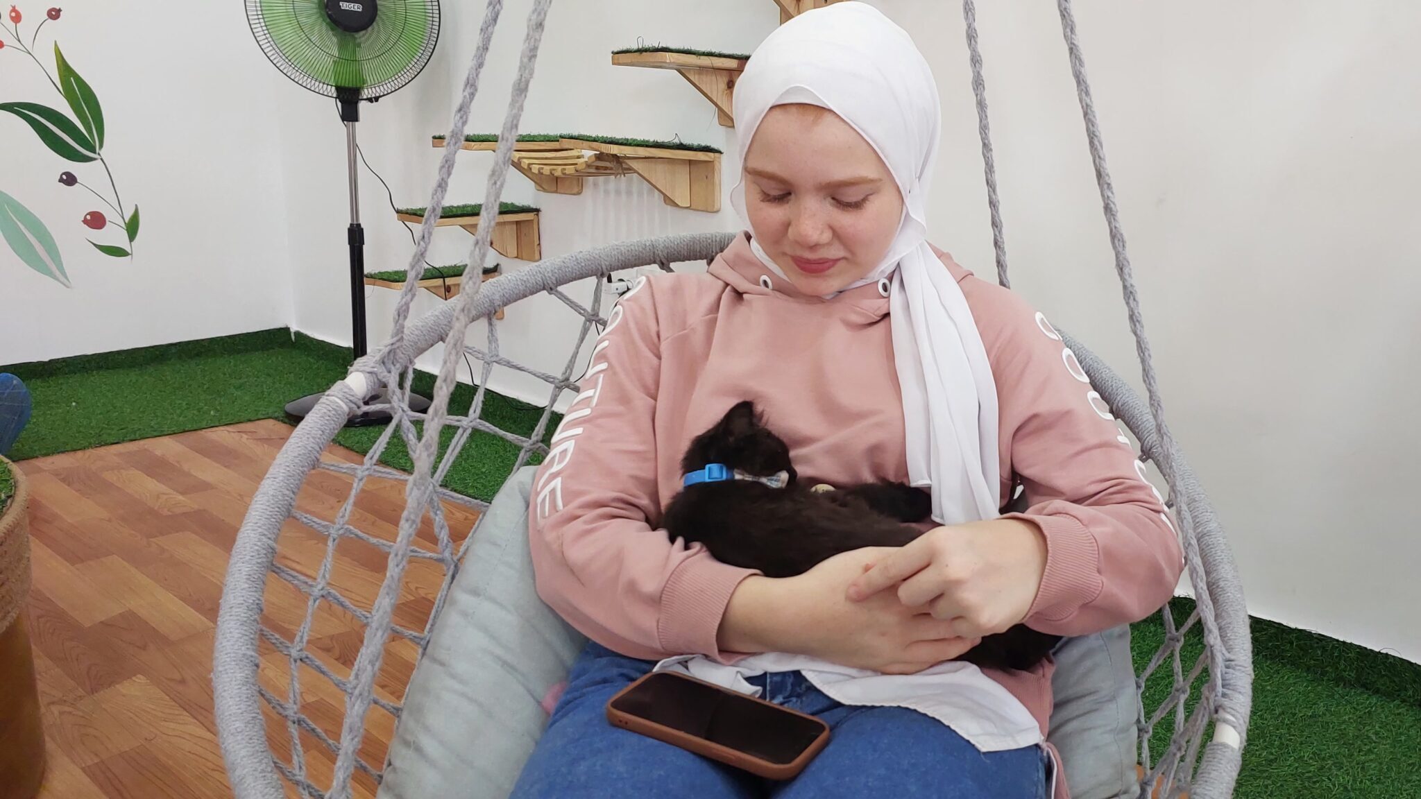 The Power of Pawsitivity: Gaza’s Meow Cat Café Offers a Refuge for War-Weary Residents
