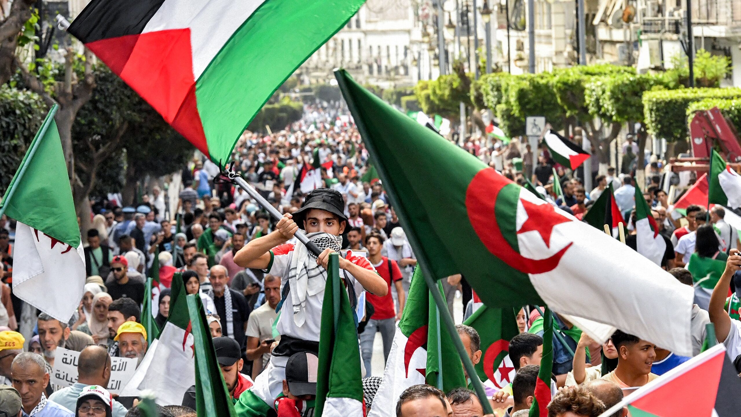 Algeria Suspends Cultural, Sports Activities in Symbolic Solidarity With Palestinians