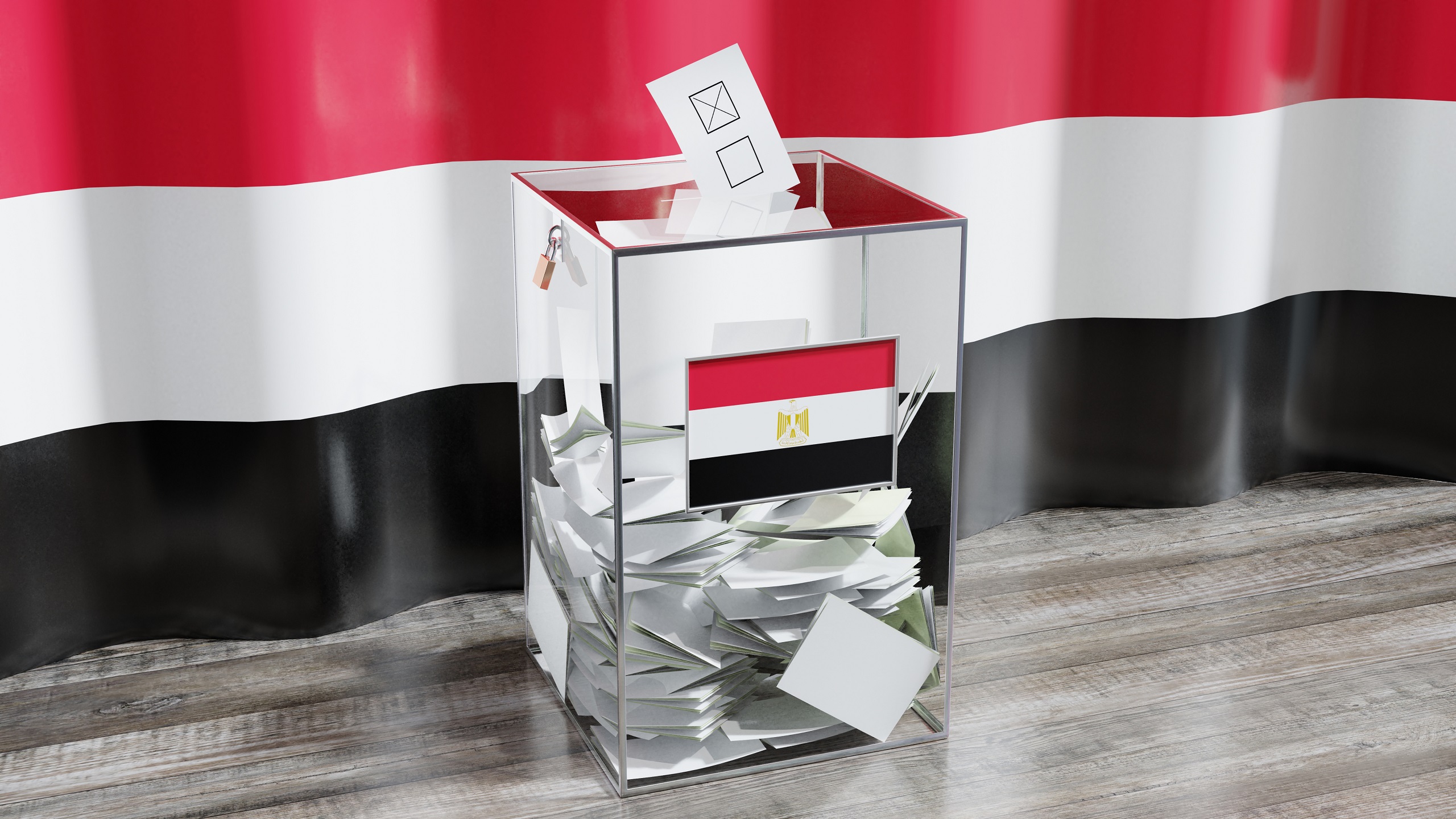 Egypt Sees Robust Voter Turnout in Presidential Election