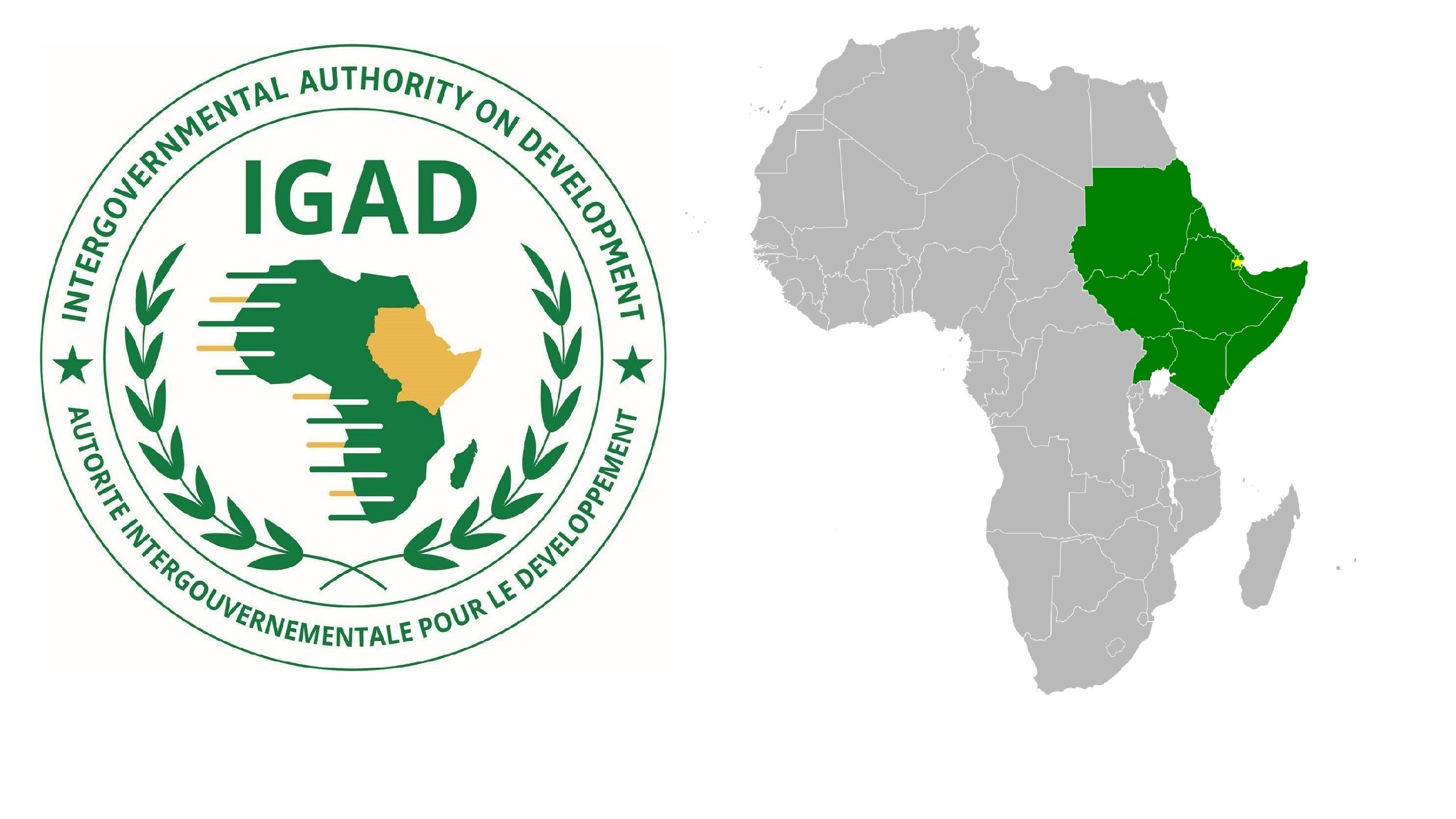 Sudan Suspends Membership in East African Bloc IGAD