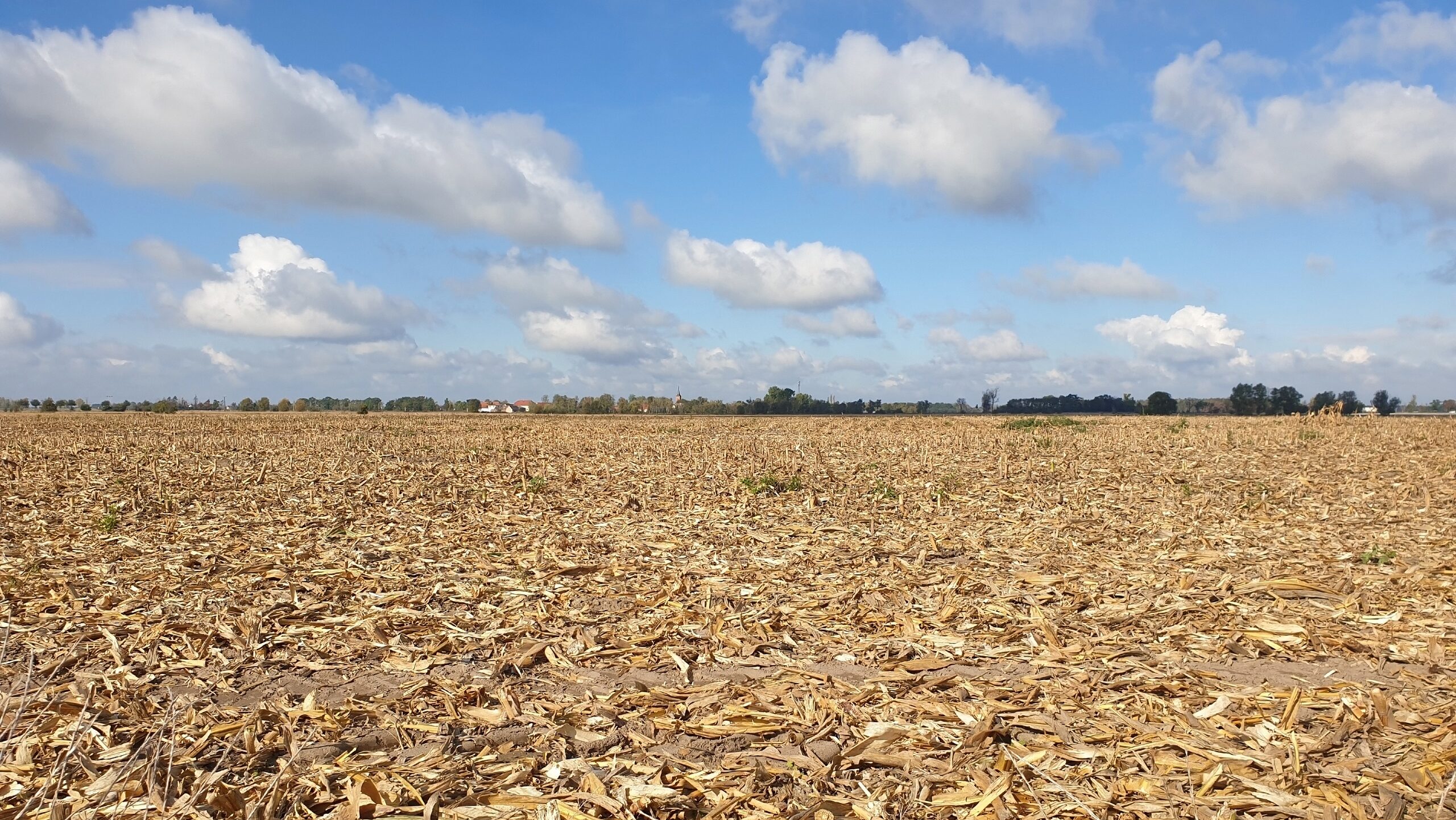 Climate-Related Damages Hit Israeli Agriculture With Record Losses