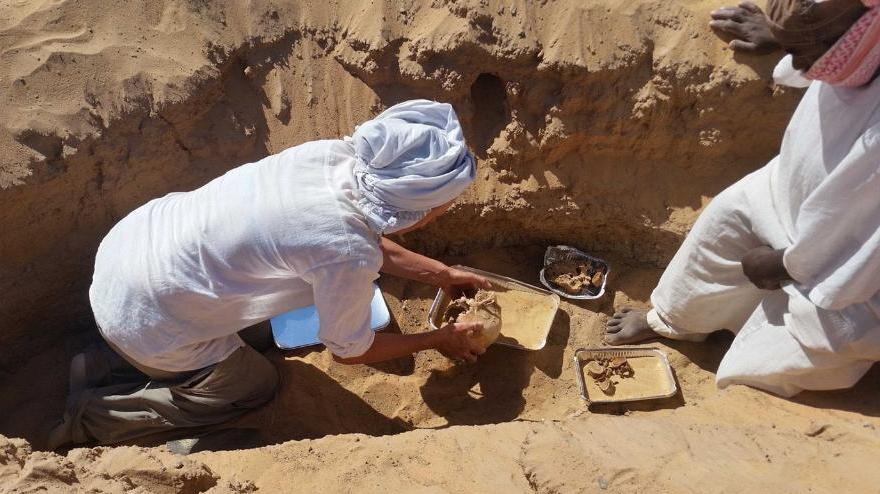 Ancient Egyptian Skeleton With Rheumatoid Arthritis Uncovered by Italian-Polish Archaeologists