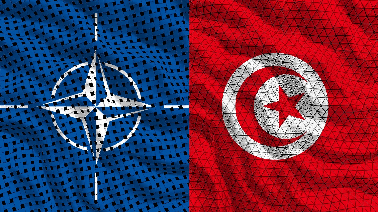 Tunisia Seeks Enhanced Military Training Through NATO Partnership