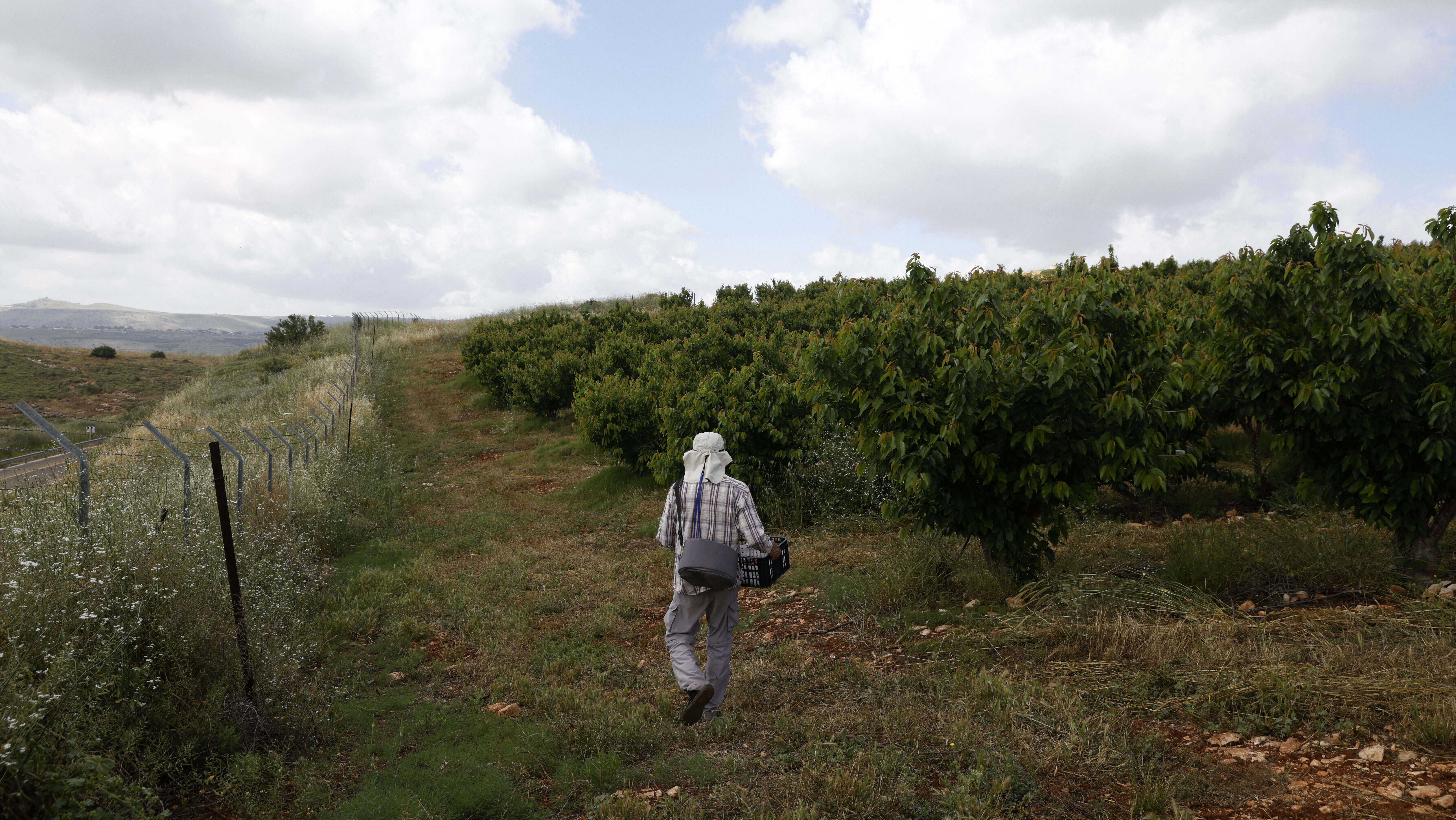 Israeli Farms Face Dire Straits Since Oct. 7, See 80% Drop in Produce Output