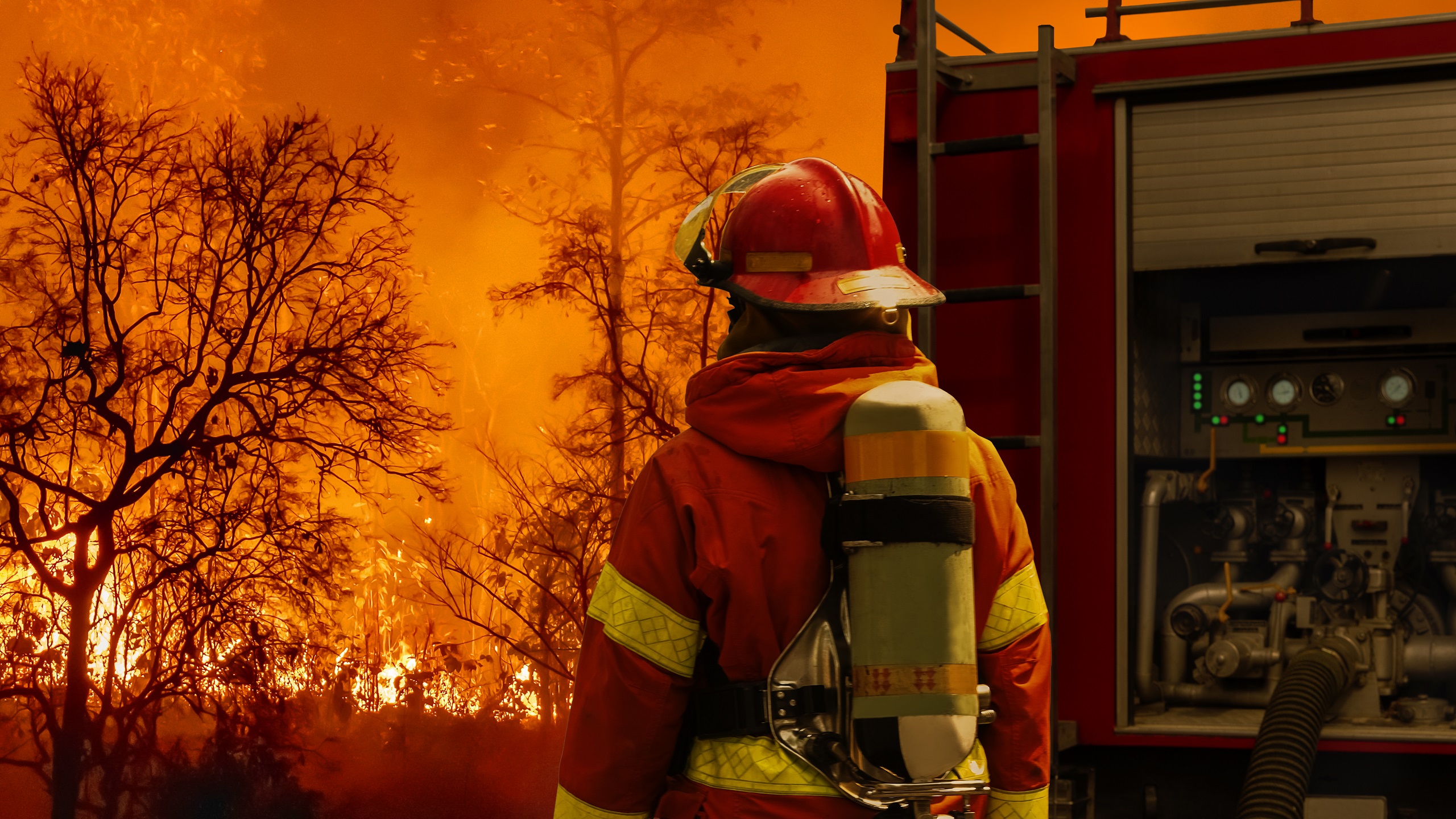 Turkish Firefighters Battle Wildfires Across 5 Provinces as Heat Intensifies