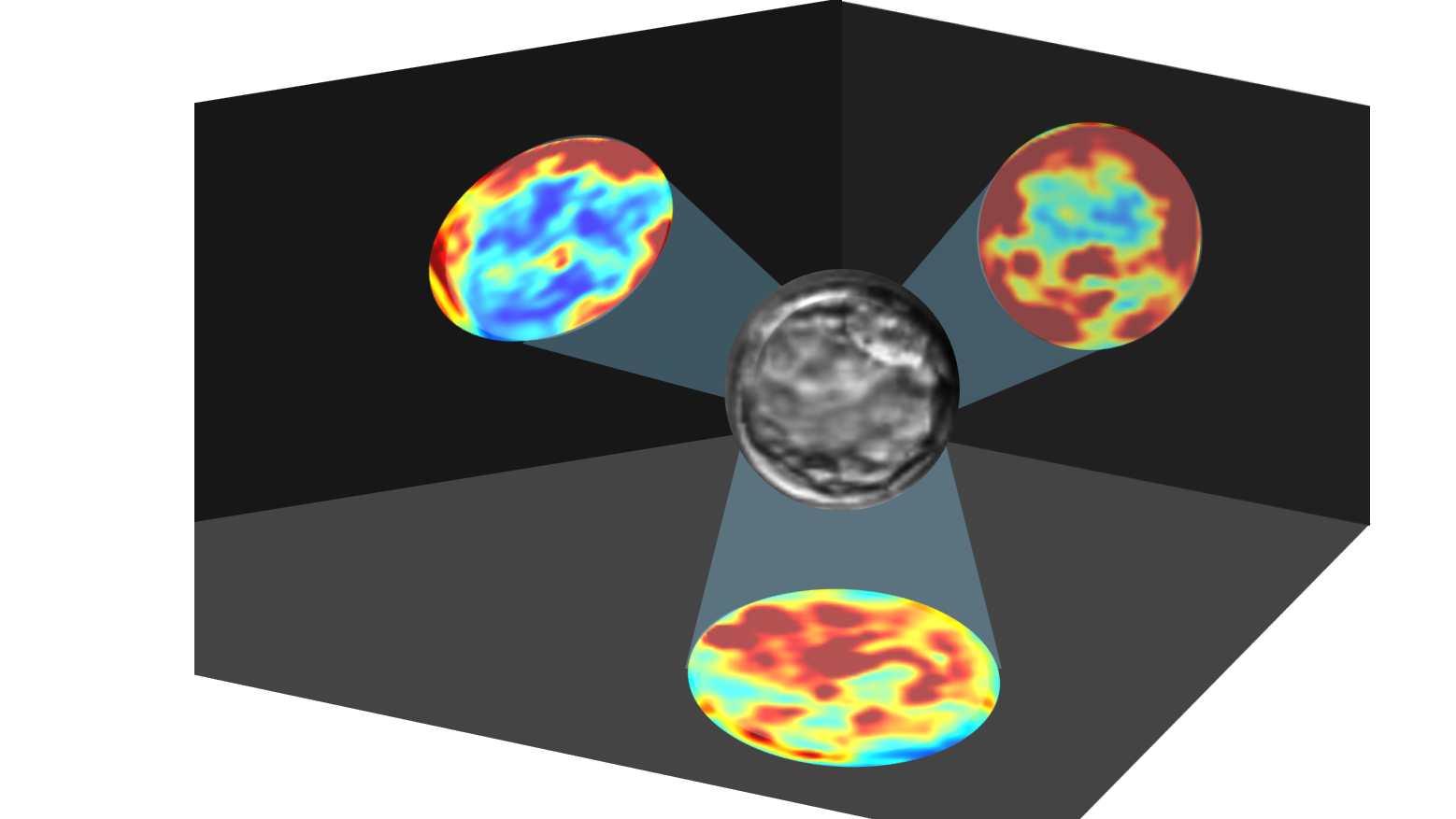 Ben-Gurion Researchers Develop AI Tool To Decipher Medical Image Decisions