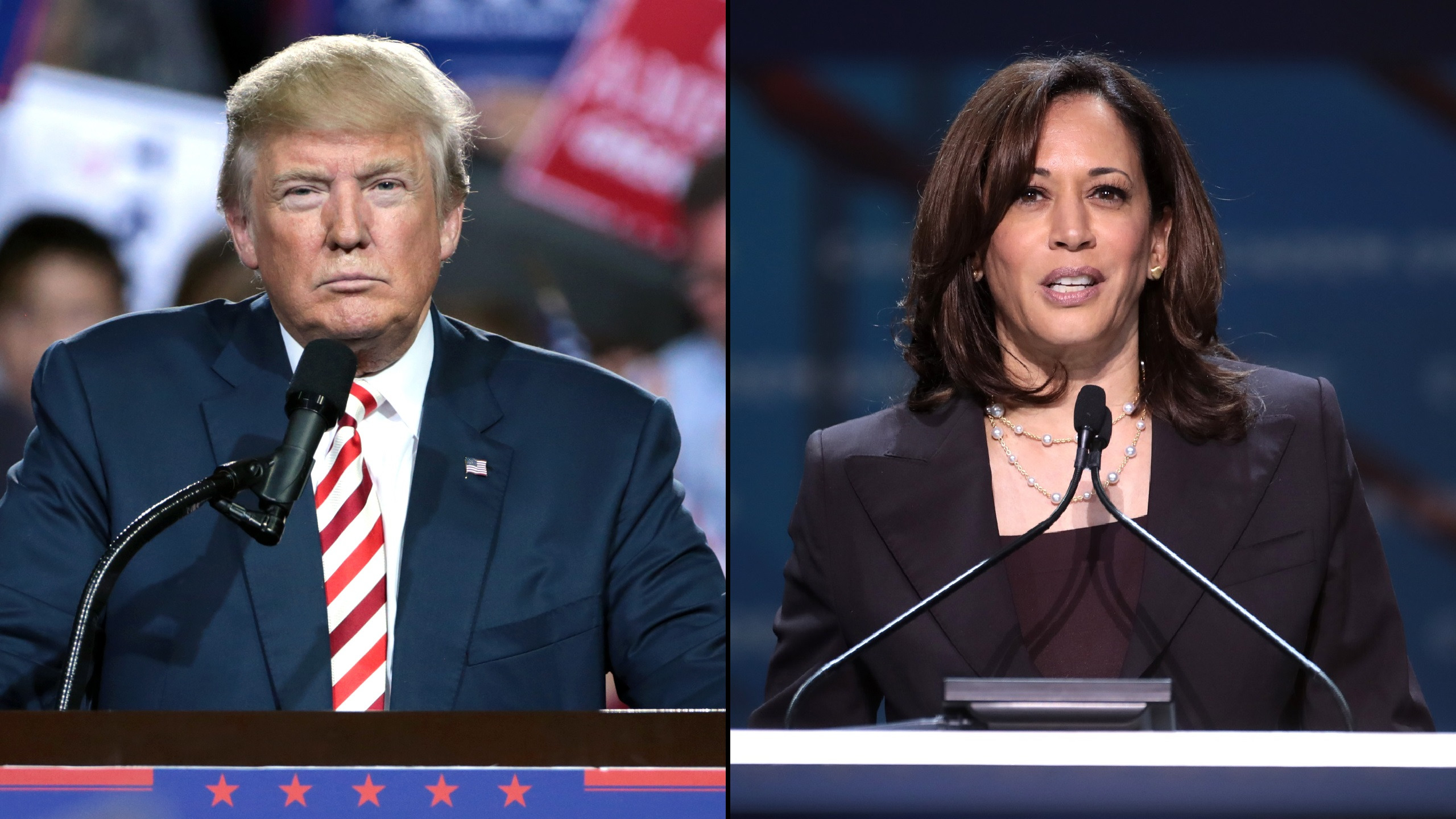 Harris Holds Strong Lead Over Trump Among Jewish Voters