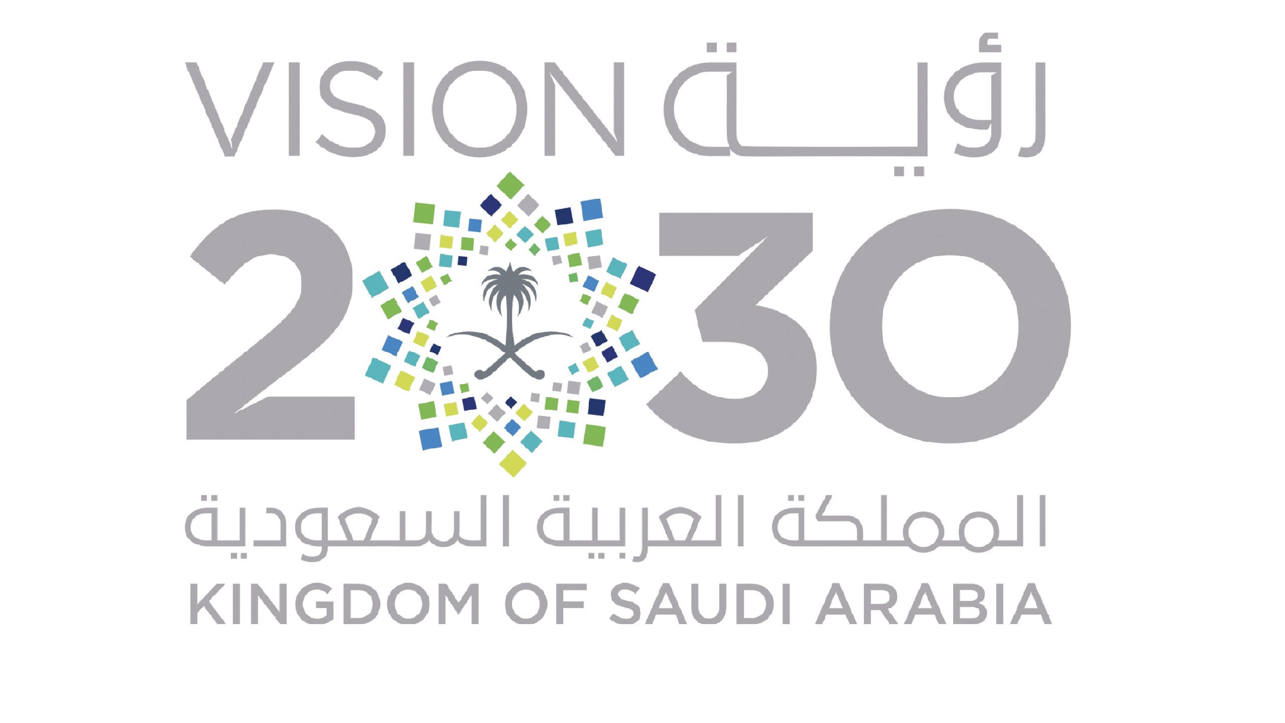 Saudi Arabia Projects $26.88 Billion Deficit in 2025 Budget Linked to Vision 2030