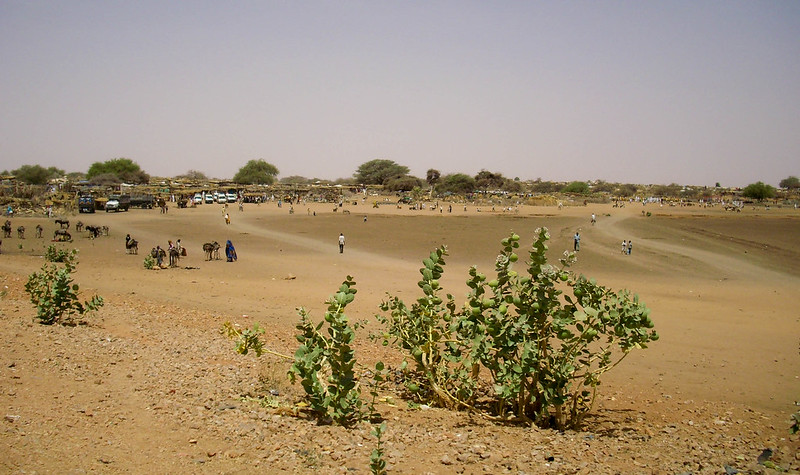 UN Food Program Suspends Aid in Sudanese Camp due to Escalating Violence