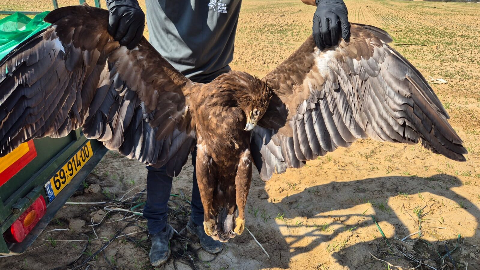 Death Toll Rises to 1,000: Mass Bird Poisoning in Israel Sparks Urgent Calls for Reform