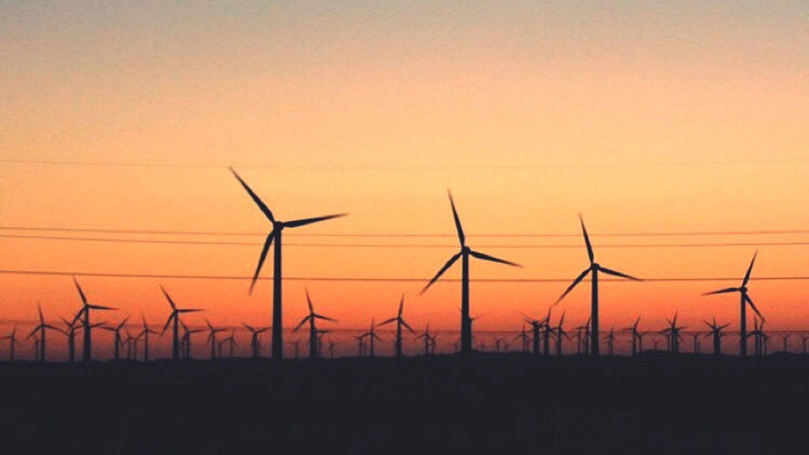 Egypt To Develop 500-Megawatt Wind Farm With Siemens Gamesa