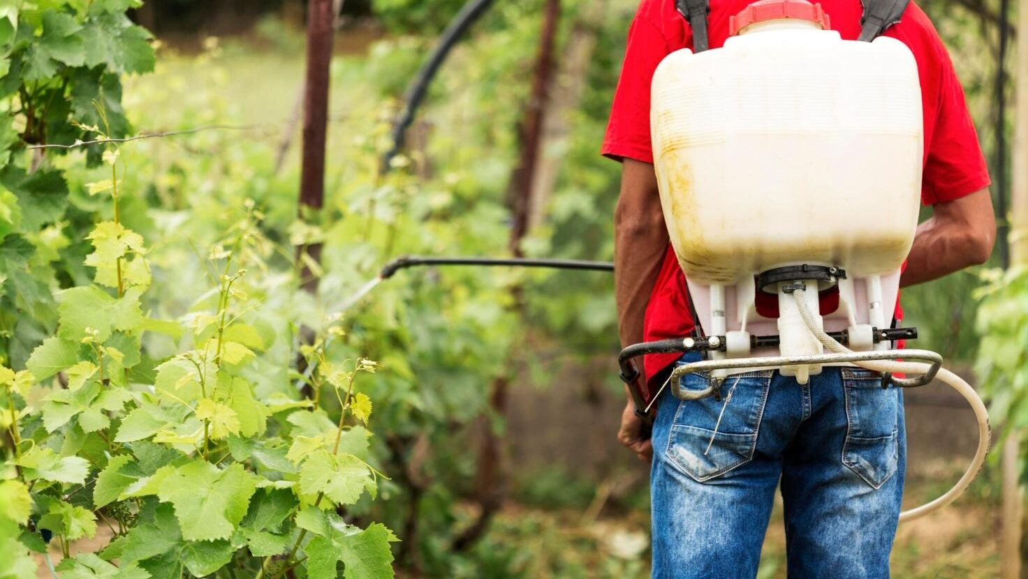 Earth Day Innovation: Israeli Scientists Advance Eco-Friendly Pesticides To Tackle Crop Disease