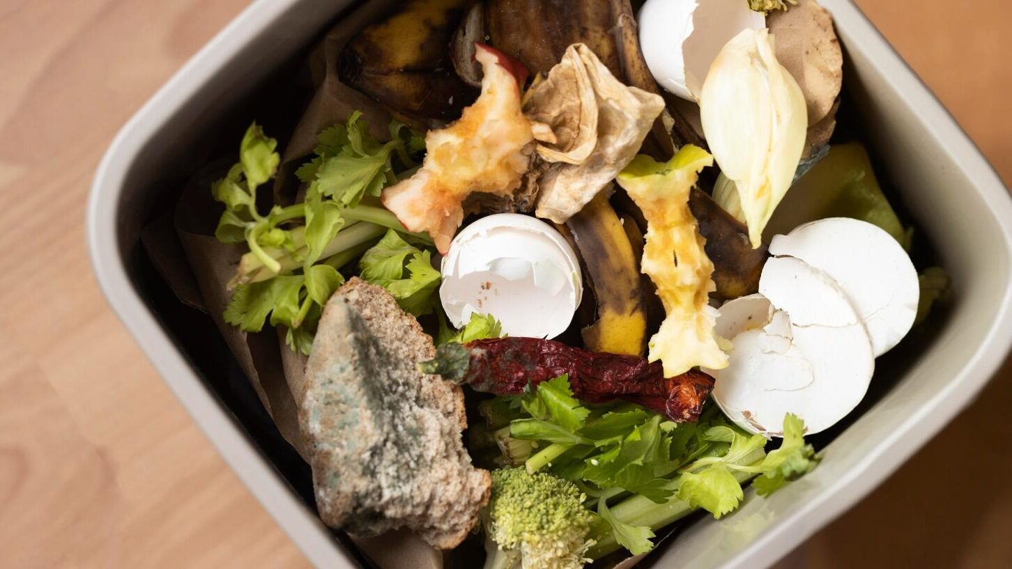 Israel Wasted 2.6 Million Tons of Food in 2023—Nearly Half Was Edible