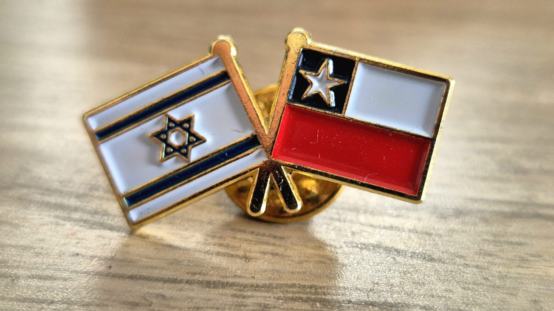 ‘Chile Cannot Afford To Import This Conflict’: Lawmakers and Community Leaders Clash Over Israel Policy