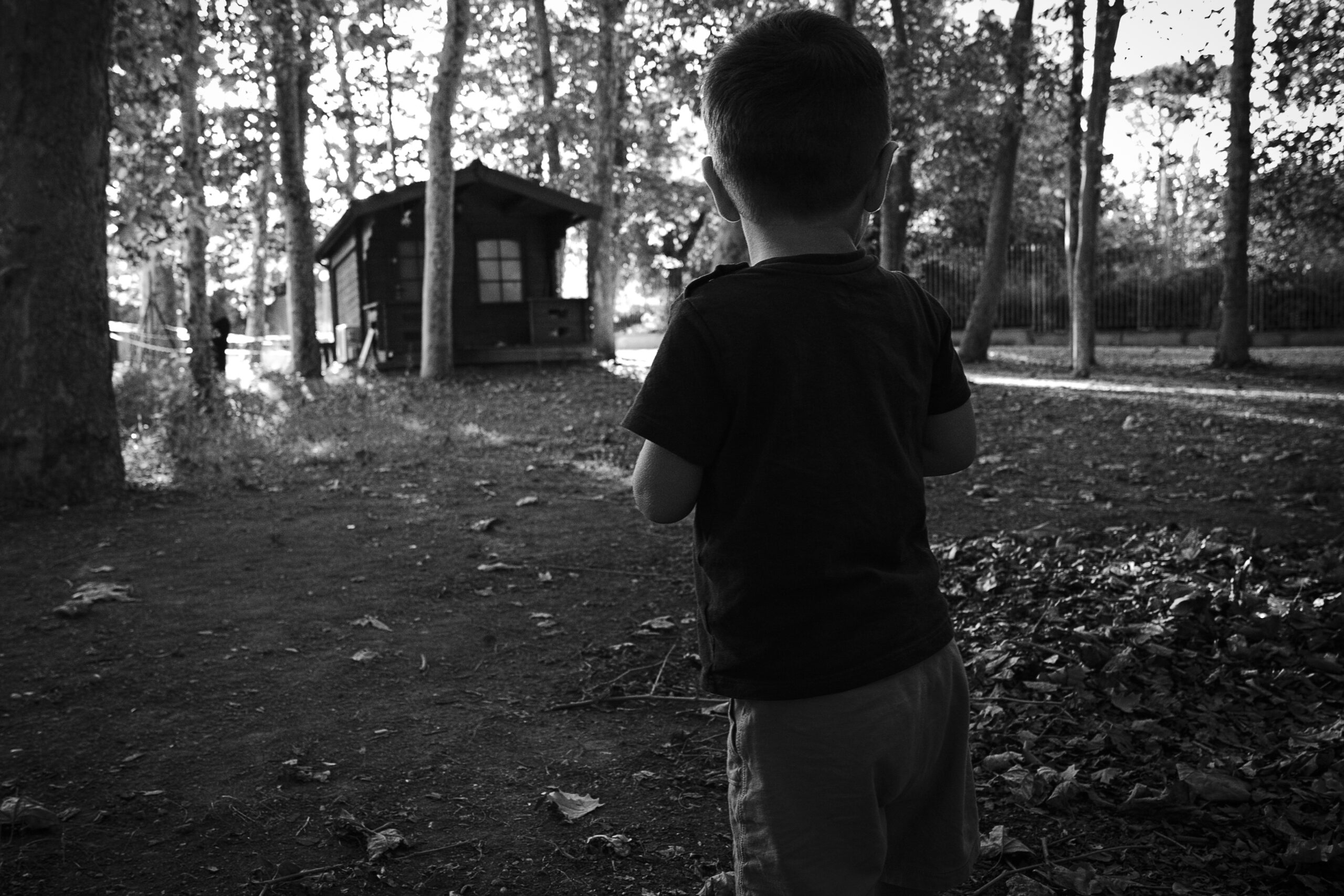 Appellate Court Breathes New Life into Iconic Missing Child Case of 1979