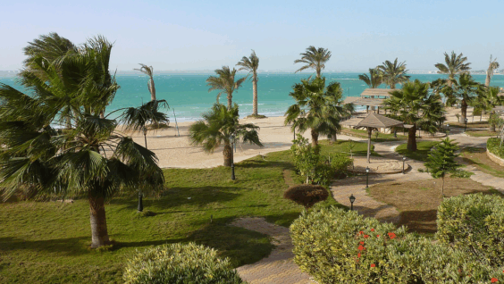 Qatar Signs $29.7 Billion Deal to Develop Mega Coastal Project in Egypt