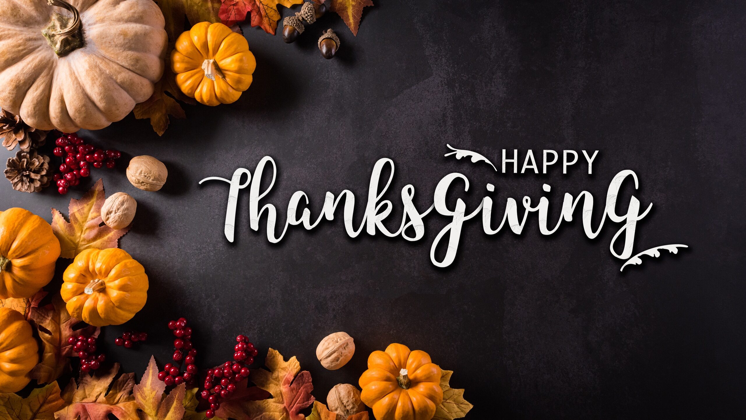 US Ambassador to Israel Huckabee Shares Thanksgiving Greetings With The Media Line