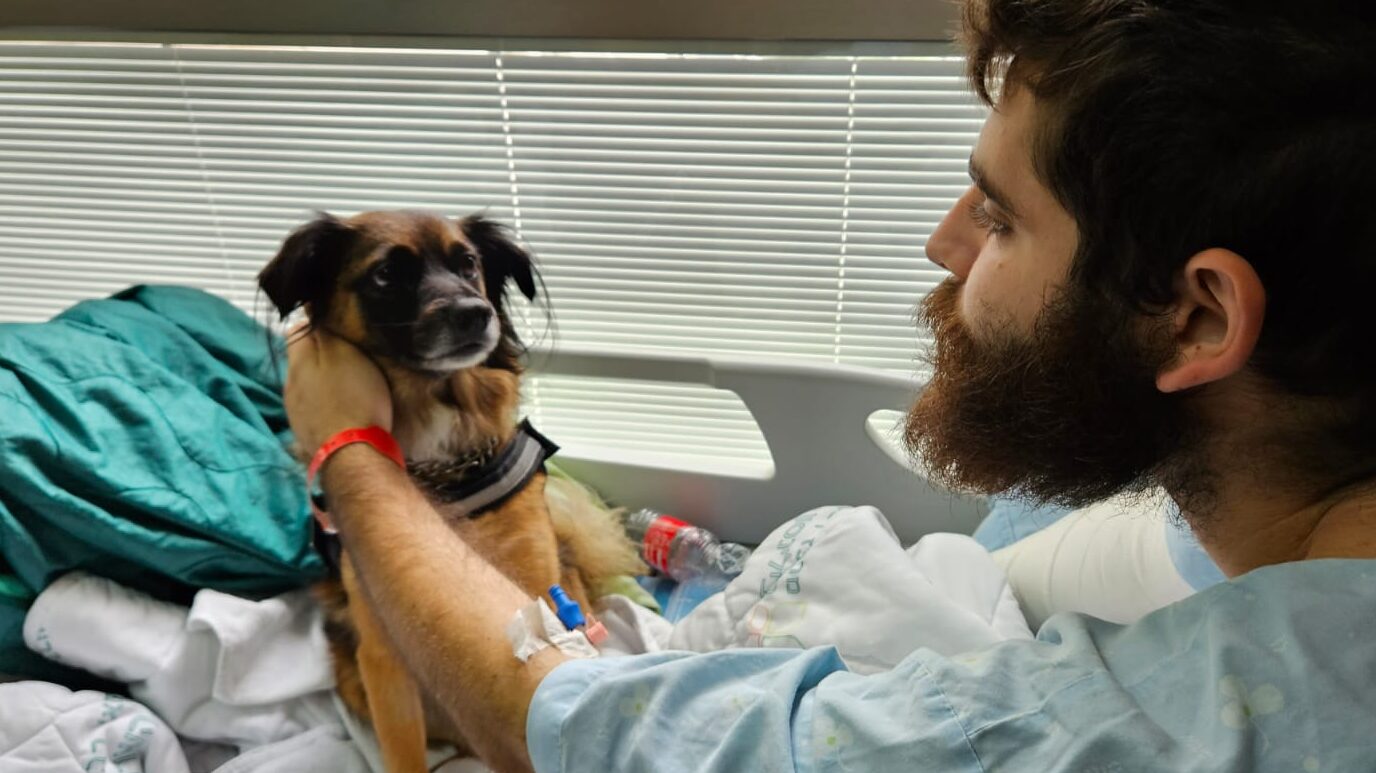 Can a Wagging Tail Speed Recovery? Inside Rabin Medical Center’s ‘Dog Medicine’ Program and New Study