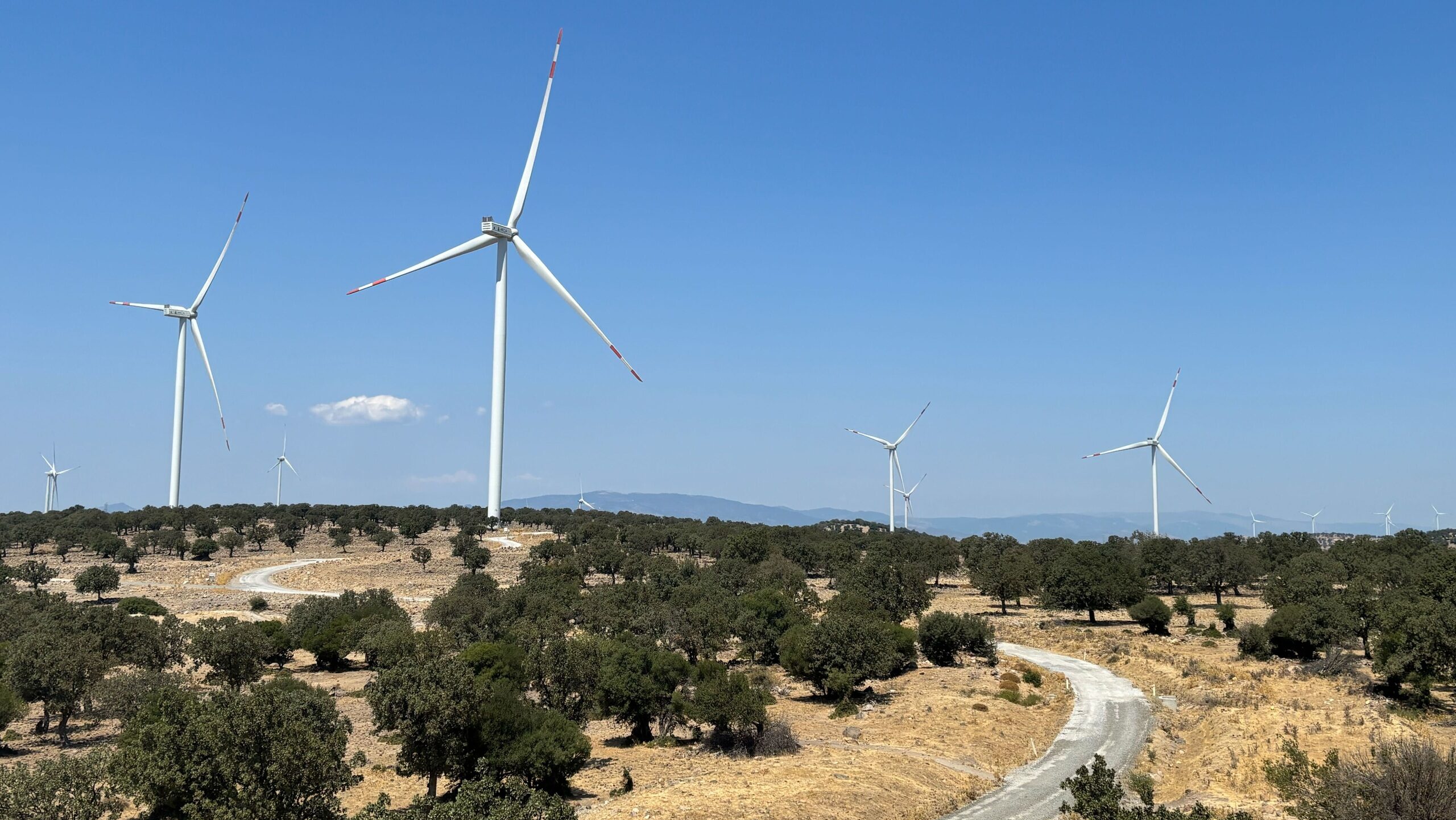Turkey’s Solar and Wind Capacity Hits One-Third of Power Grid as 2035 Target Looms