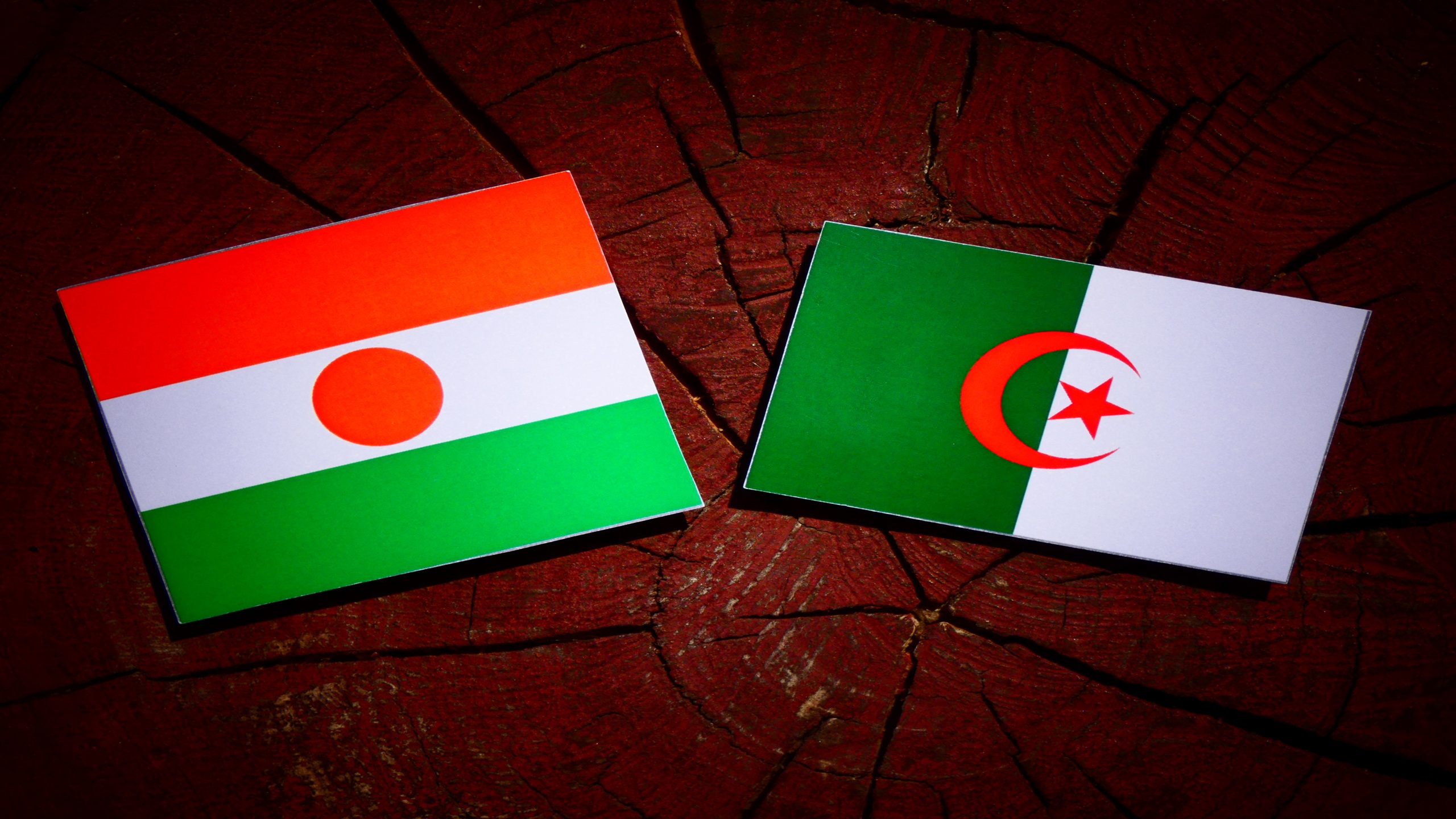 Algeria and Niger Move To Restart Trans-Saharan Gas Pipeline After Diplomatic Rift