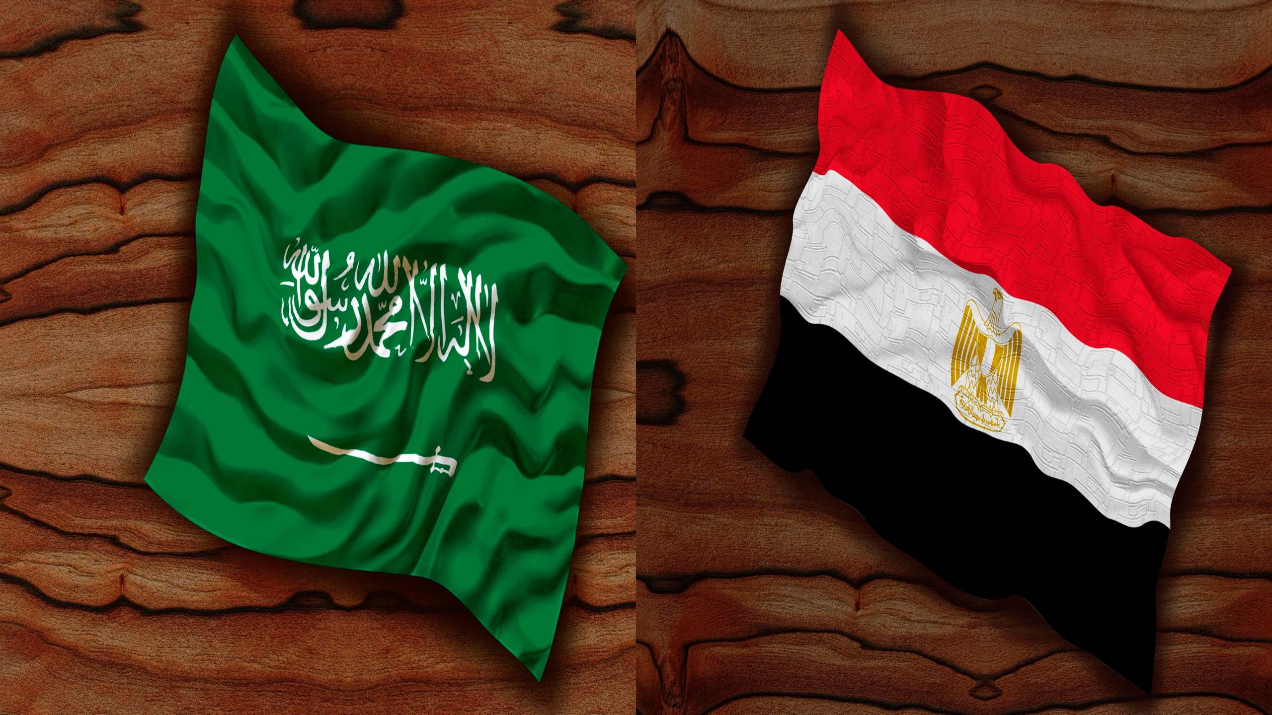 Egypt and Saudi Arabia Urge Diplomacy as Gaza Talks and Sudan War Intensify